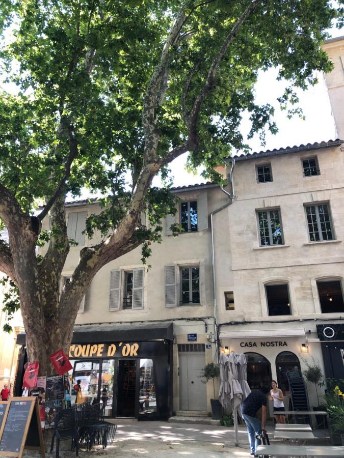 Avignon Pedestrian Area, Charming, 4 Persons Apartment Ngoại thất bức ảnh